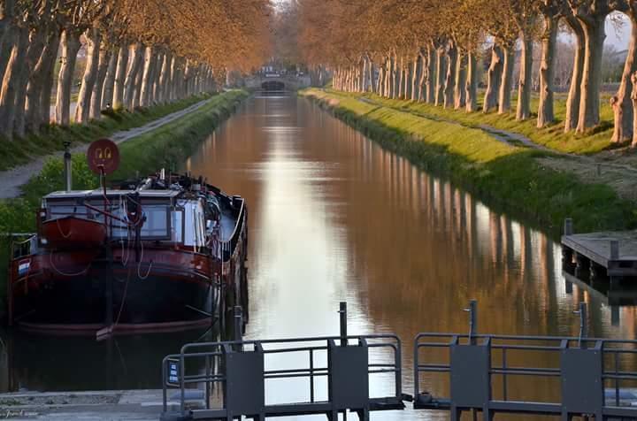 Au Paradis Cathare Fraissé-des-Corbières Buitenkant foto