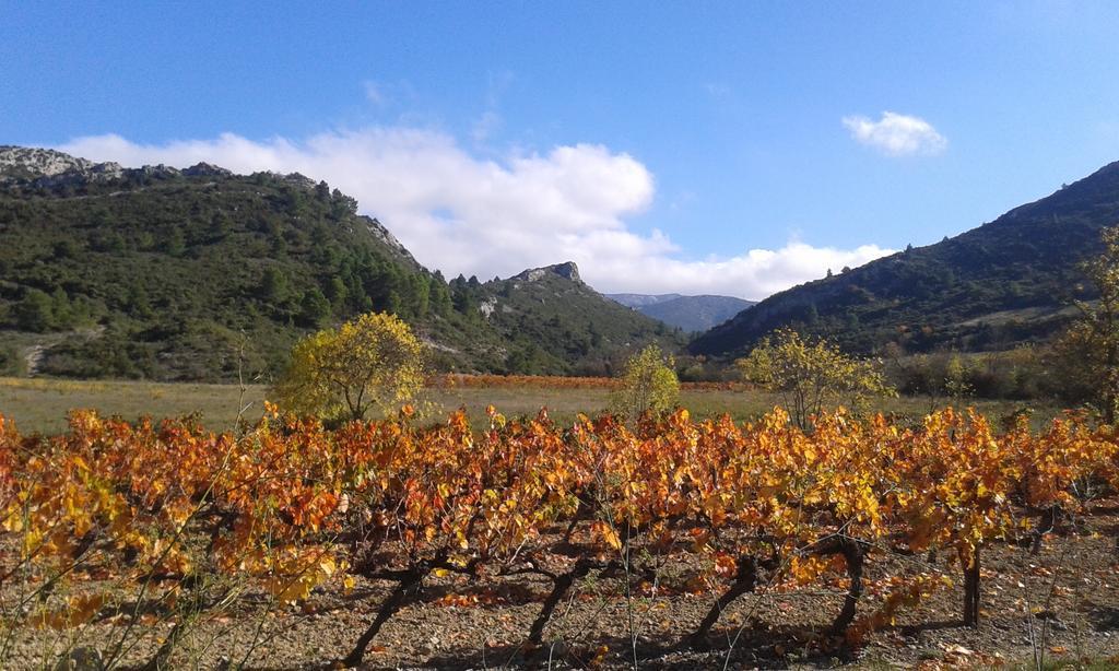 Au Paradis Cathare Fraissé-des-Corbières Buitenkant foto